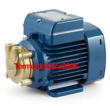 Electric Water with peripheral impeller PVm55 0,5Hp 240V Pedrollo Z1 Pump