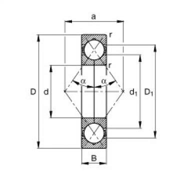 Four point contact bearings - QJ311-XL-MPA
