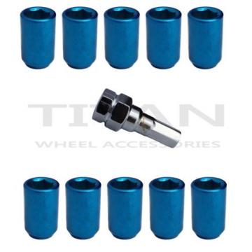 10 Piece Blue Chrome Tuner Lugs Nuts | 12x1.5 Hex Lugs | Key Included