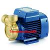 Electric Peripheral Water PQ PQm60Bs 0,5Hp Brass body 240V Pedrollo Z1 Pump
