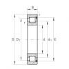 Cylindrical roller bearings - SL182228 #1 small image
