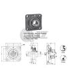 1.375 in Square Flange Units Cast Iron UCF207-22 Mounted Bearing UC207-22+F207 #2 small image