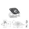 3/4 in 2-Bolts Flange Units Cast Iron UCFT204-12 Mounted Bearing UC204-12+FT204 #4 small image