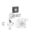 1.1875 in Square Flange Units Cast Iron SBF206-19 Mounted Bearing SB206-19+F206 #2 small image