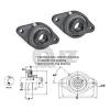 2x 1in 2-Bolts Flange Units Cast Iron SAFL205-16 Mounted Bearing SA205-16G+FL205