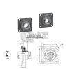 2x 3/4 in Square Flange Units Cast Iron SBF204-12 Mounted Bearing SB204-12G+F204 #2 small image