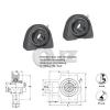 2x 3/4 in Take Up Units Cast Iron HCT204-12 Mounted Bearing HC204-12 + T204 #2 small image