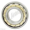 N209M Cylindrical Roller Bearing 45x85x19 Cylindrical Bearings 17510 #3 small image