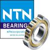 NTN Bearing Distributor in Singapore