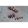 2004  Mercedes Benz E320 lug nuts and wheel locks with key 21pieces #2 small image