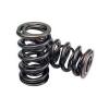 Erson GM LS Chevy Hyd Roller Cam E112115 Cam &amp; Valve Springs Kit LS1 LS2 LS6 #2 small image