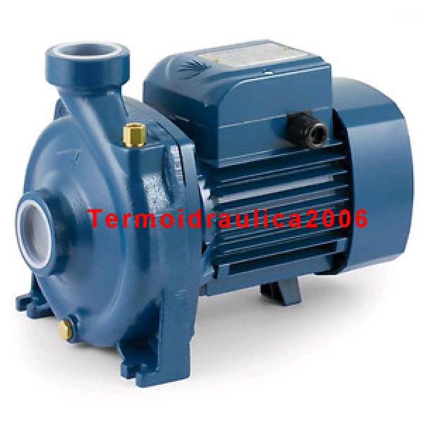 Average flow rate Centrifugal Electric Water HFm 70B 2Hp 240V Pedrollo Z1 Pump #1 image