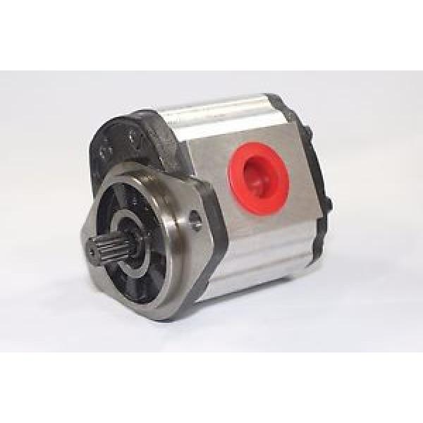 Hydraulic Gear 1PN082CG1S13C3CNXS 8.2 cm³/rev 250 Bar Pressure Rating Pump #1 image