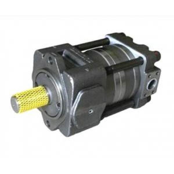 QT23-6.3E-A QT Series Gear Pump #1 image