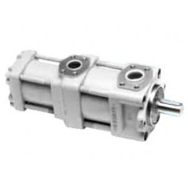 QT5333-63-12.5F QT Series Double Gear Pump #1 image