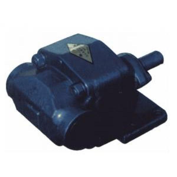 BCB Series Gear Oil Pump BCB-200/1.6 #1 image