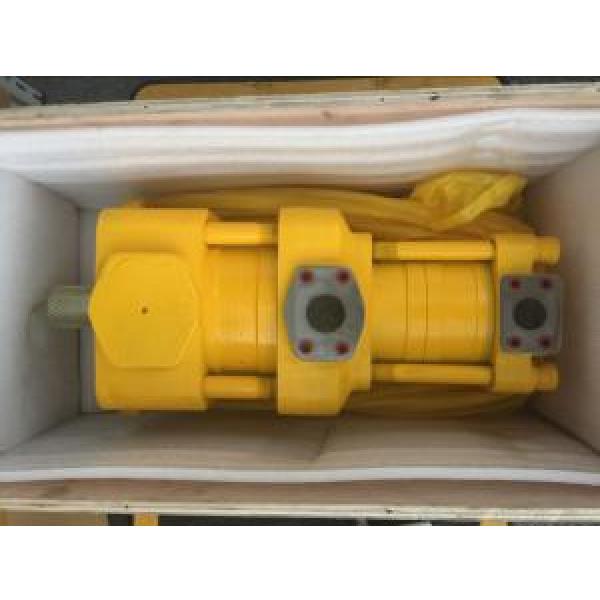 Sumitomo QT6123-250-6.3F Double Gear Pump #1 image