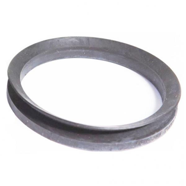 SKF Sealing Solutions MVR1-105 #1 image