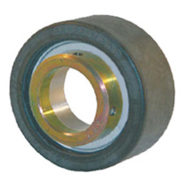 INA RCSMA30/65-FA106 Insert Bearings Cylindrical OD #1 image