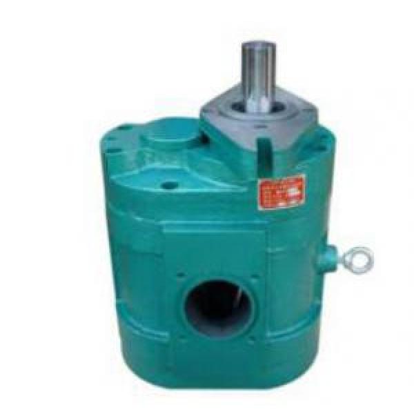 DCB-B600~1000 Series Low Noise Large Flow Gear Pump #1 image