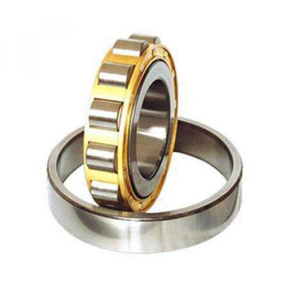 NU205M 25x52x15 25mm/52mm/15mm Cylindrical Roller Bearings #1 image