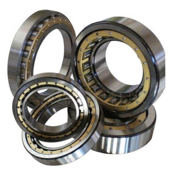 NU2213 Cylindrical Roller Bearing 65x120x31 Cylindrical Bearings #1 image