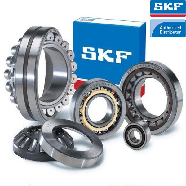 SKF Bearing Distributor in Singapore #1 image