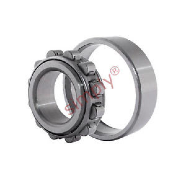 N209 Budget Single Row Cylindrical Roller Bearing 45x85x19mm #1 image