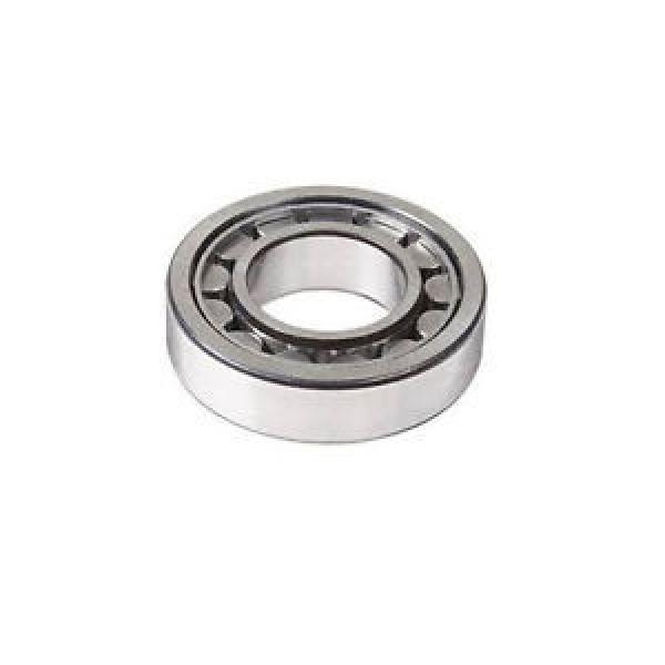 N206 Cylindrical Roller Bearing 30mmX62mmX16mm Quality Bearing #1 image