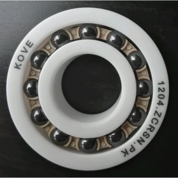 Self-Aligning Self-aligning ball bearings New Zealand Full Ceramic Ball Bearing 1204_20x47x14mm, ZrO2, Si3N4, PEEK #1 image