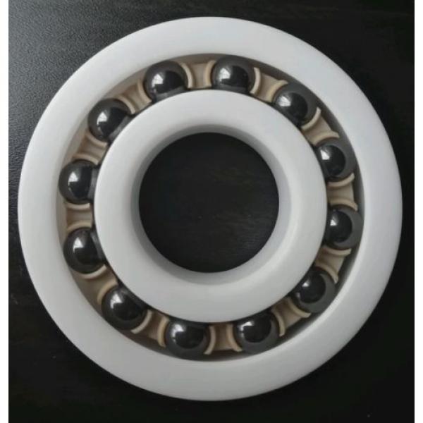 Self-Aligning Self-aligning ball bearings New Zealand Full Ceramic Ball Bearing 1204_20x47x14mm, ZrO2, Si3N4, PEEK #2 image